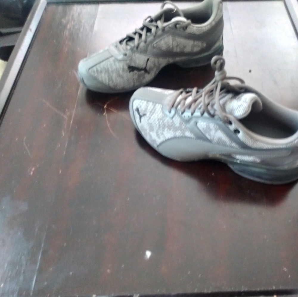 Pumas